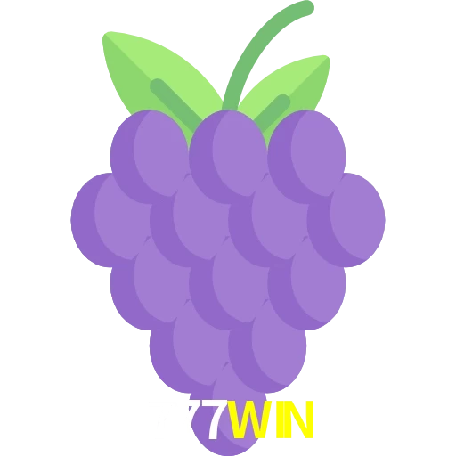 777WIN